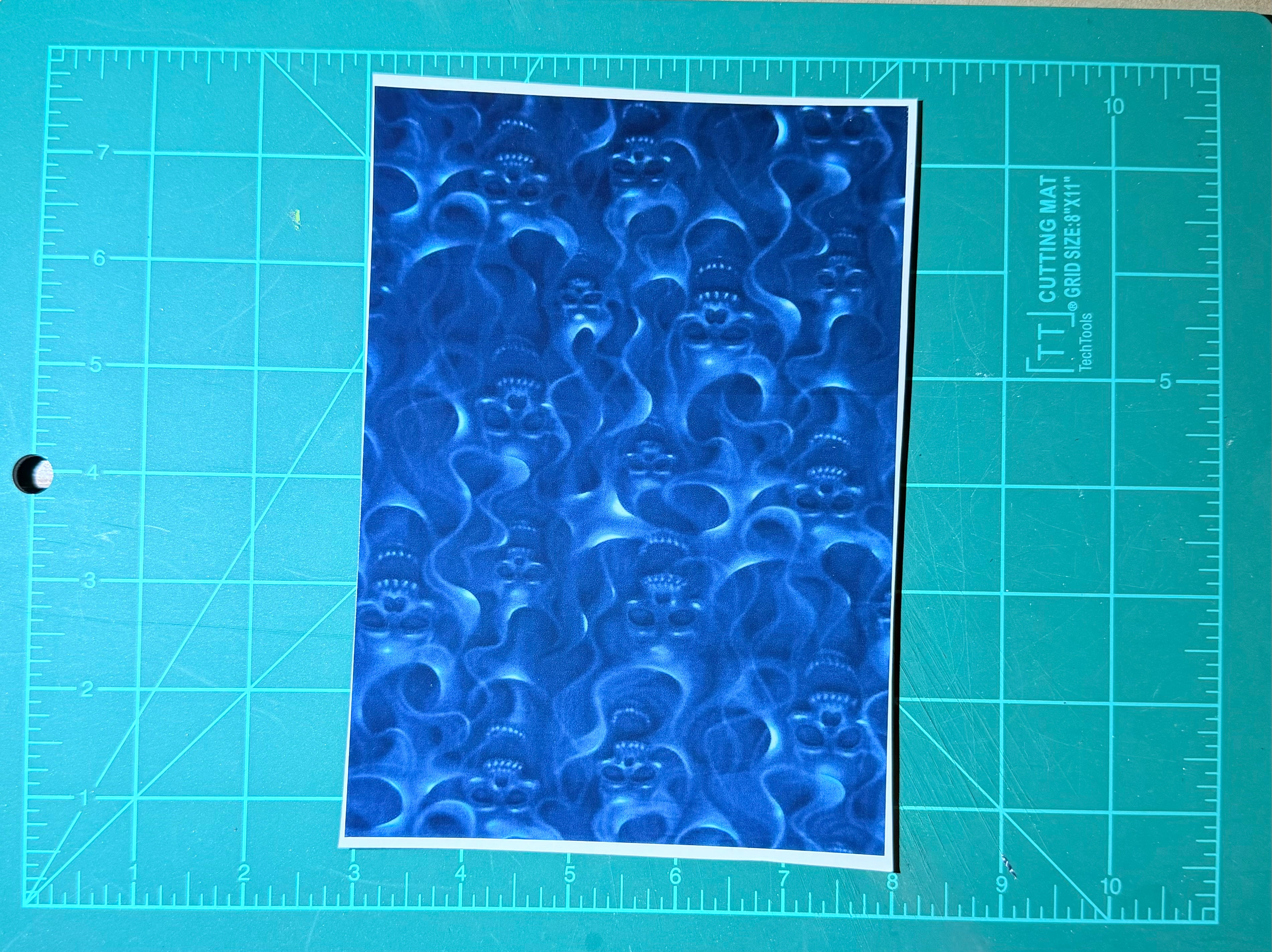 𝐒𝐊𝐔𝐋𝐋𝐒